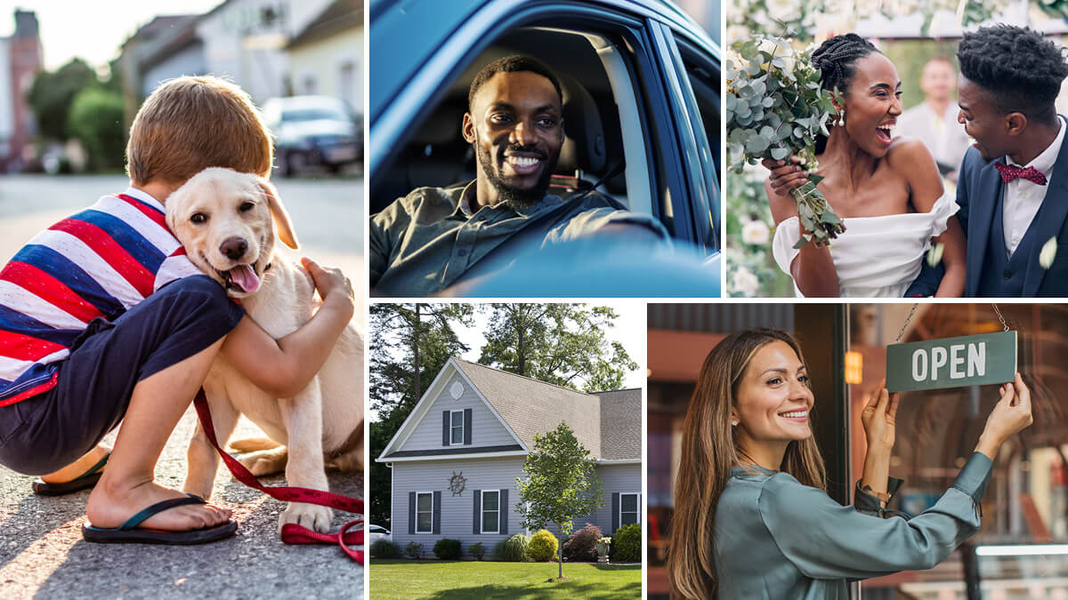 Insurance coverage for auto, home, and business, along with specialized options like pet and wedding insurance.